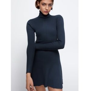 Zara Ribbed Knit Dress
